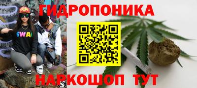 a pvp Кимры