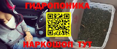мескалин Кингисепп