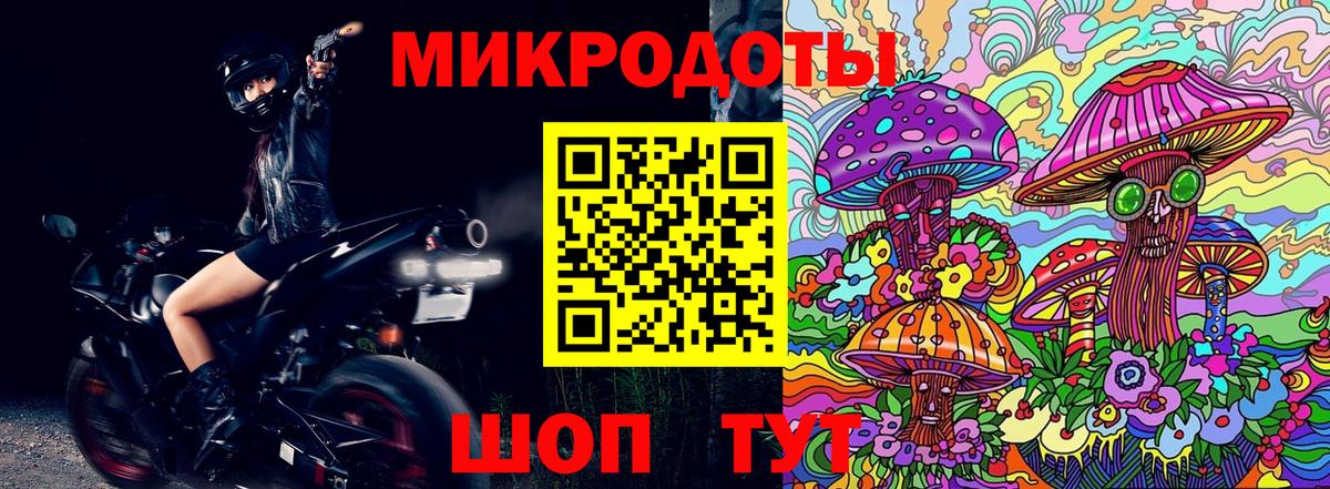 Галлюциногенные грибы Psilocybine cubensis Морозовск