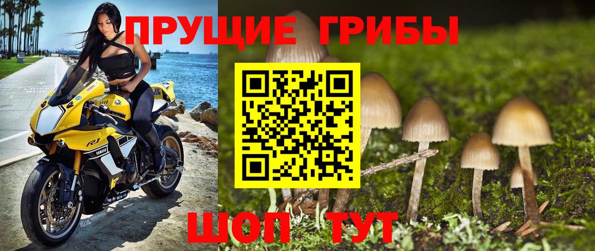 Галлюциногенные грибы MAGIC MUSHROOMS  Вход с VPN  Морозовск  Галлюциногенные грибы прущие грибы 
